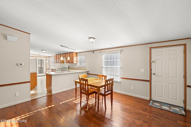 dining area featuring crown molding, sink, and dark wood-type flooring