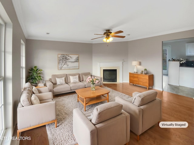 living room featuring hardwood / wood-style floors, ceiling fan, and crown molding