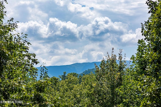 view of mountain feature