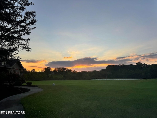 view of yard at dusk