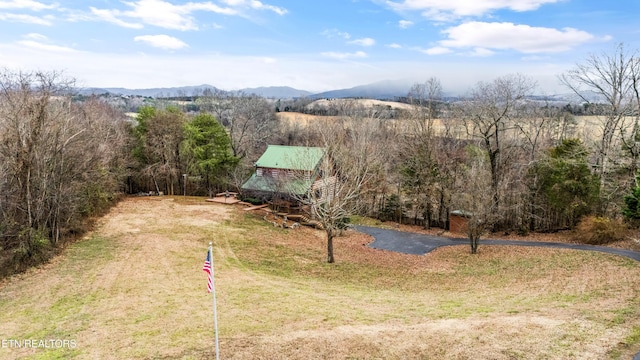 view of yard featuring a mountain view