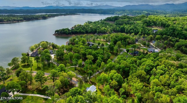 drone / aerial view featuring a water and mountain view and a forest view