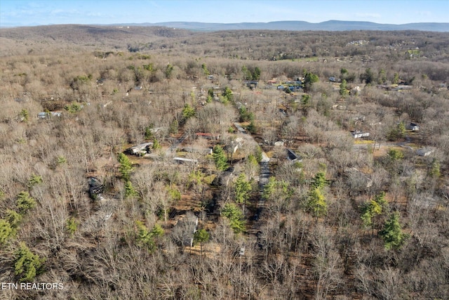 aerial view featuring a mountain view