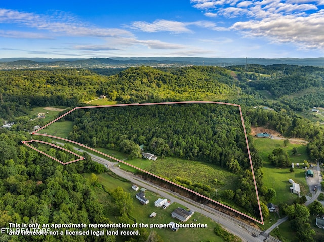 3207 Sulphur Springs Rd, Morristown, TN 37813