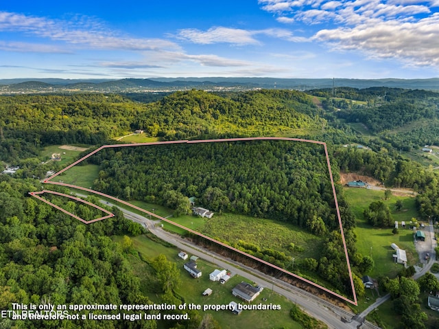 3207 Sulphur Springs Rd, Morristown TN, 37813 land for sale