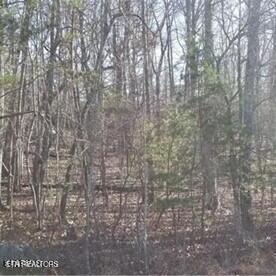 26 Harley Cir, Fairfield Glade, TN 38558