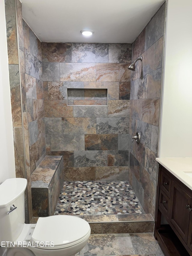 bathroom with vanity, toilet, and a tile shower