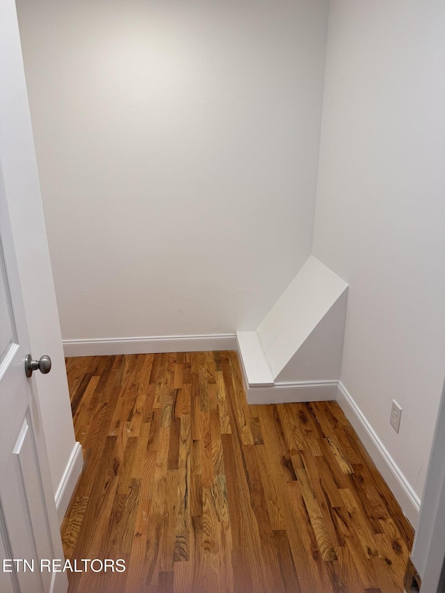 walk in closet featuring hardwood / wood-style floors