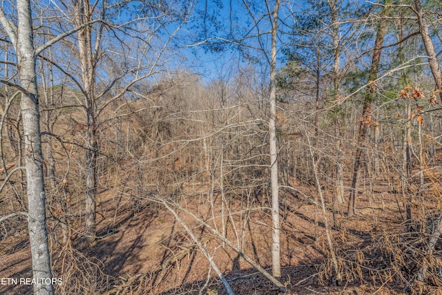 view of local wilderness