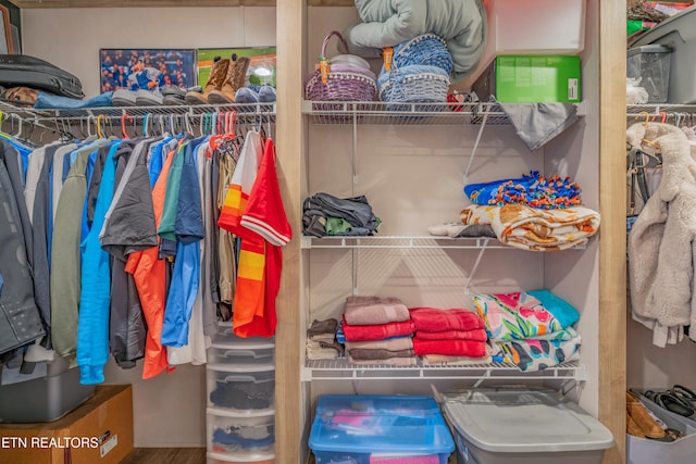 view of spacious closet