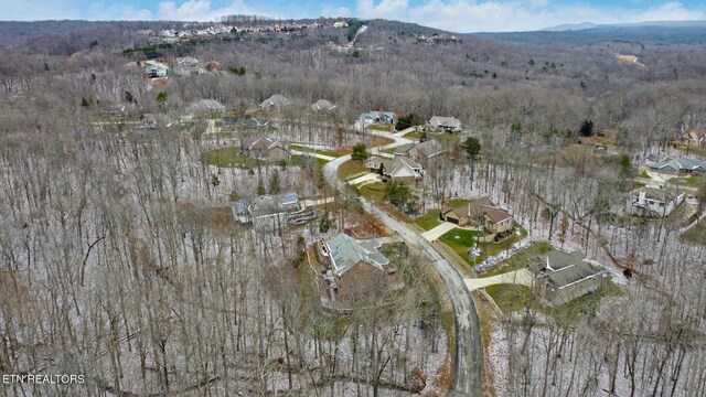 bird's eye view with a mountain view