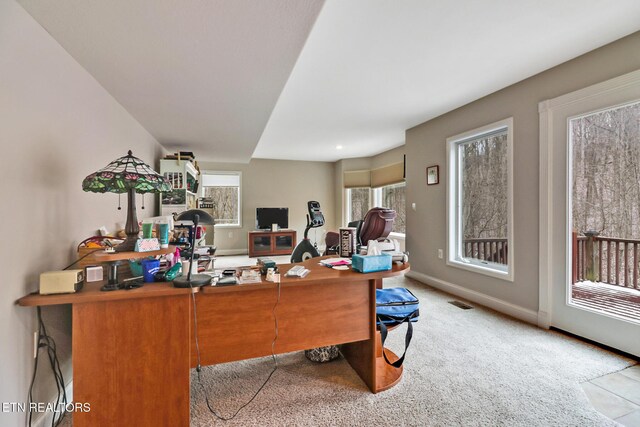 view of carpeted home office