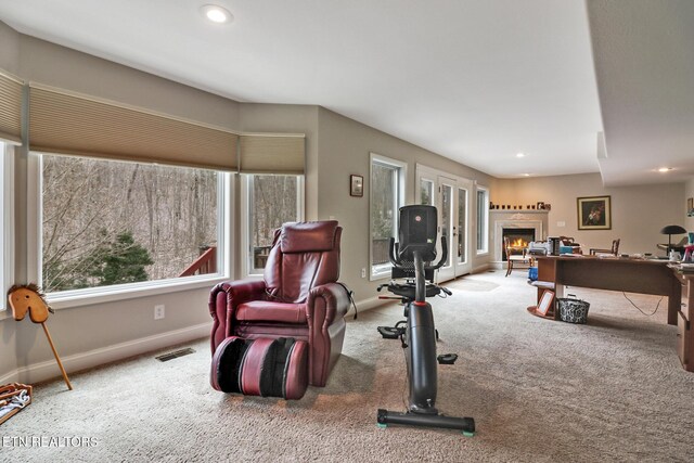 exercise room with a wealth of natural light and carpet floors