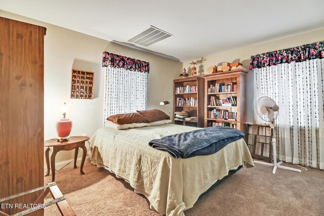 bedroom with carpet flooring