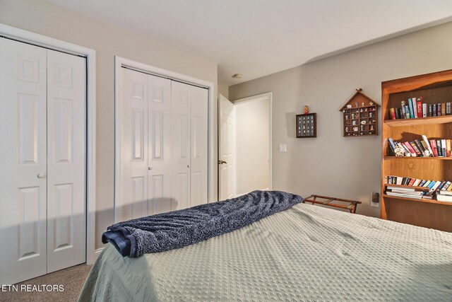 bedroom featuring carpet flooring and two closets