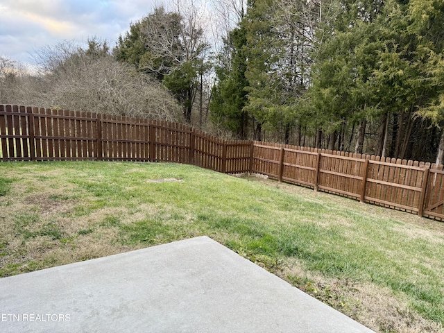 view of yard with a patio