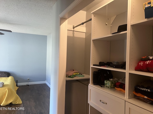 walk in closet featuring dark hardwood / wood-style flooring and ceiling fan