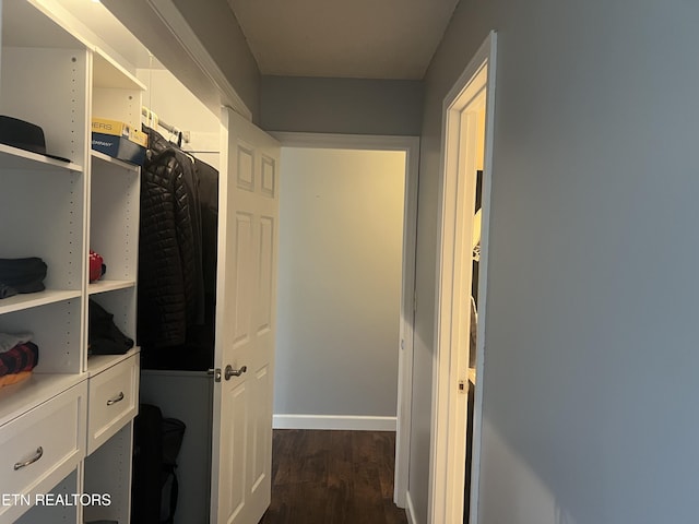 spacious closet featuring dark wood-type flooring