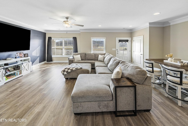 living room featuring hardwood / wood-style flooring, ceiling fan, and crown molding