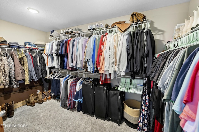 walk in closet featuring carpet