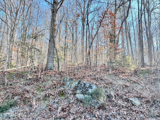 Listing photo 3 for TRACT7 Bundren Mountain Rd, Tazewell TN 37879