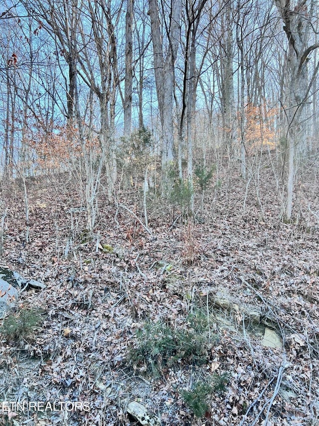 Listing photo 2 for TRACT7 Bundren Mountain Rd, Tazewell TN 37879