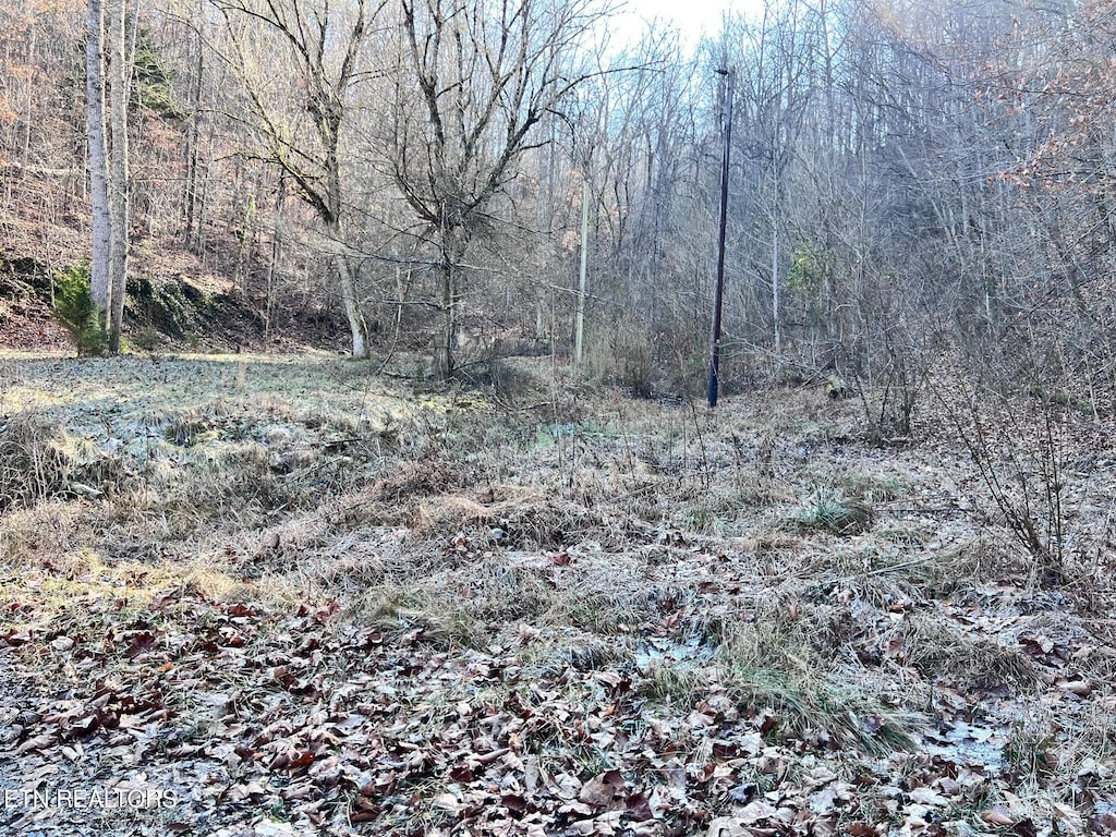 TRACT1 Bundren Mountain Rd, Tazewell, TN 37879 - photo 1