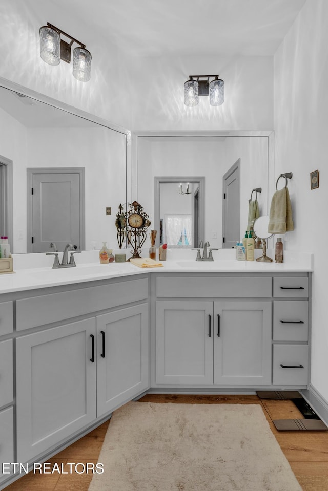 bathroom with wood-type flooring and vanity