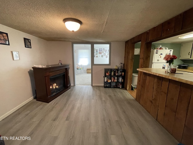 living room featuring light hardwood / wood-style floors and a textured ceiling