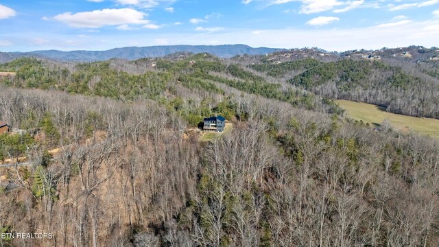 property view of mountains