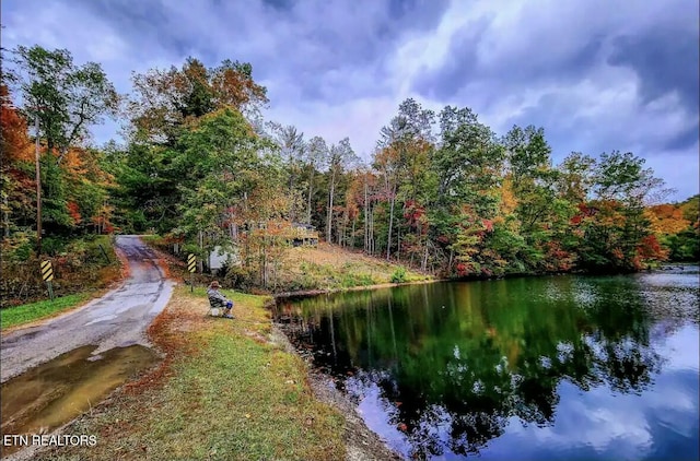 view of water feature