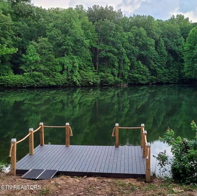 dock area with a water view