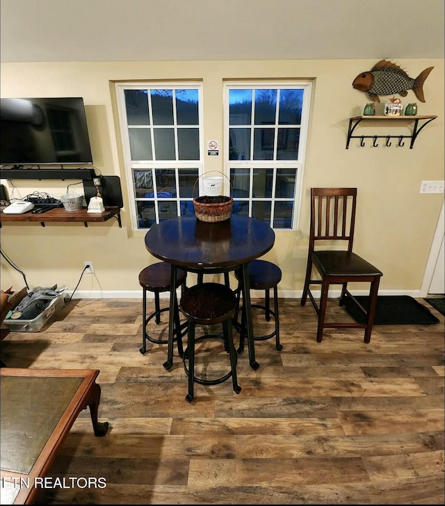 dining room featuring wood-type flooring