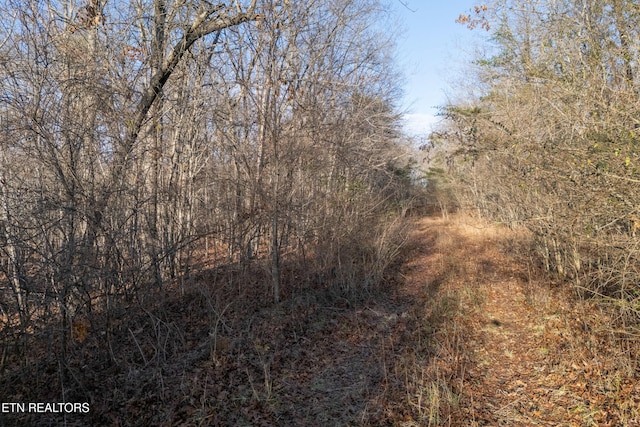 LOT1735 Satsuma Dr, Crossville TN, 38555 land for sale