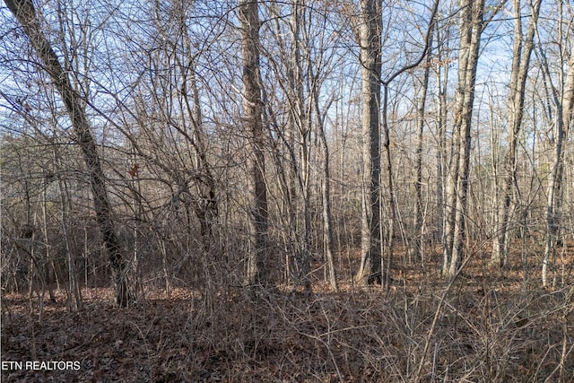 Listing photo 2 for LOT1735 Satsuma Dr, Crossville TN 38555