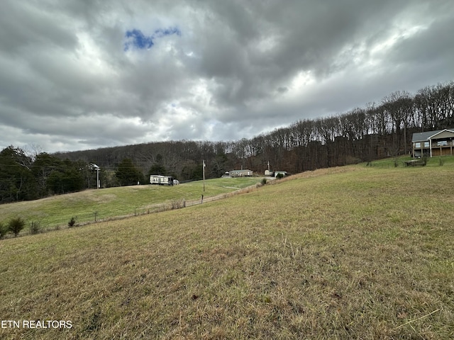 view of yard featuring a rural view