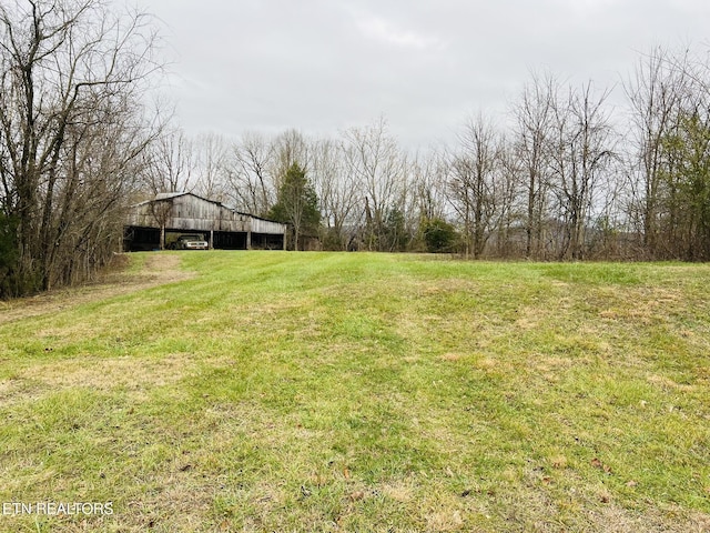 view of yard featuring an outdoor structure