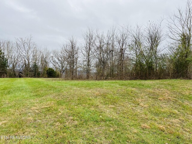 1008 Old Static Rd, Byrdstown, TN 38549 - photo 11