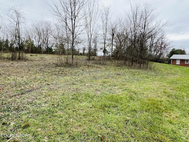 1008 Old Static Rd, Byrdstown, TN 38549 - photo 8