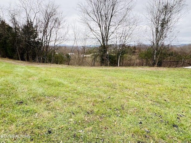 1008 Old Static Rd, Byrdstown, TN 38549 - photo 10