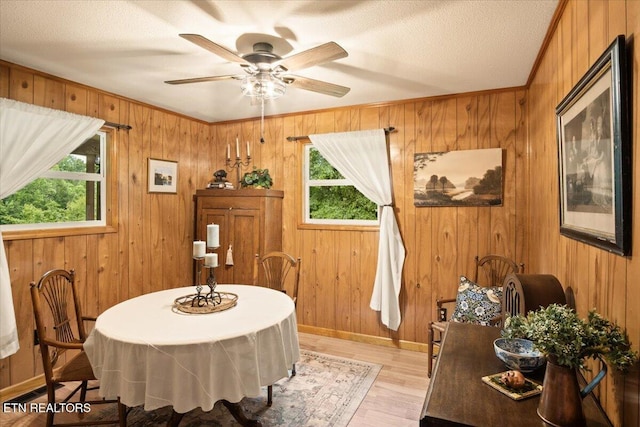 dining space with ceiling fan, plenty of natural light, a textured ceiling, and light hardwood / wood-style flooring