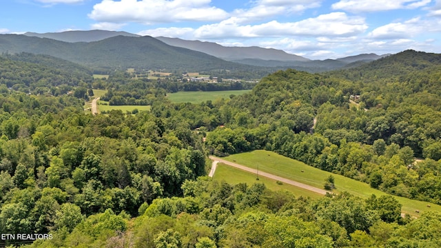 drone / aerial view featuring a mountain view