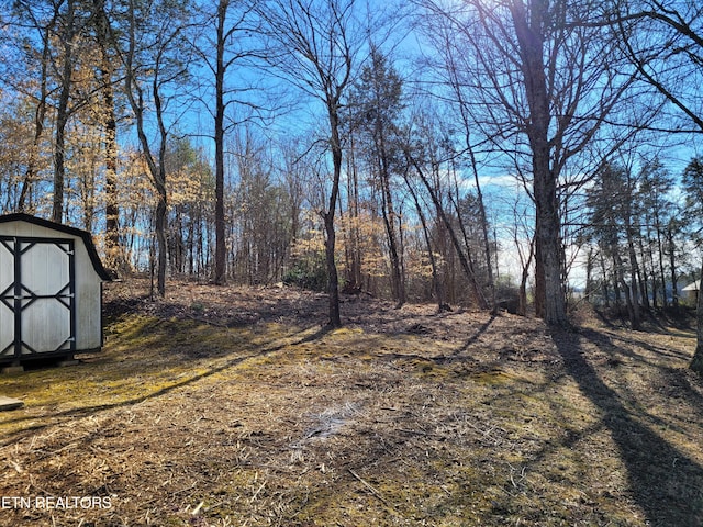 view of yard with a storage shed