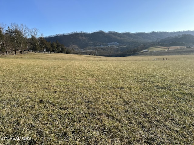 TBD Wilderness Rd, Jonesville VA, 24263 land for sale