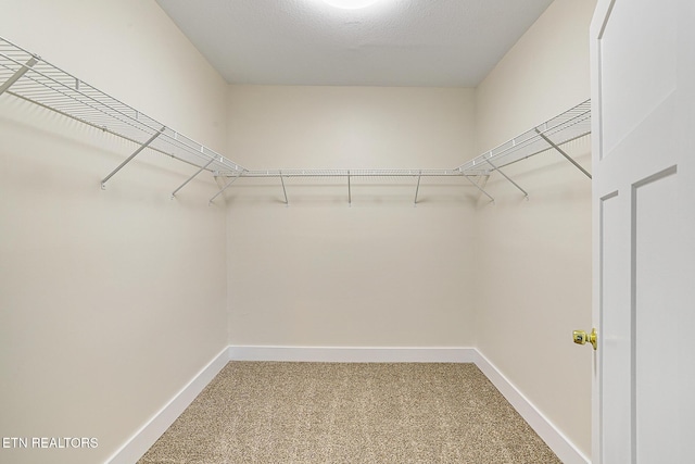 spacious closet with carpet floors