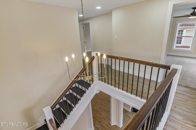 staircase featuring hardwood / wood-style floors