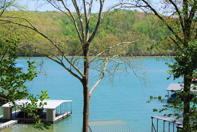 view of water feature featuring a dock