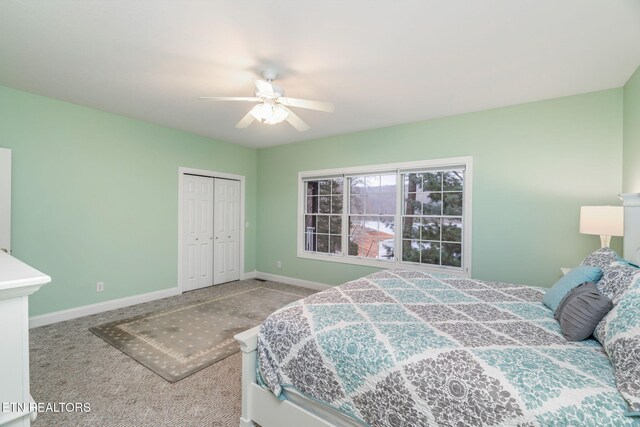 bedroom featuring ceiling fan, carpet floors, and a closet