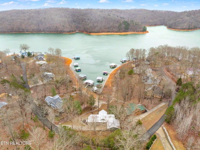 aerial view featuring a water view