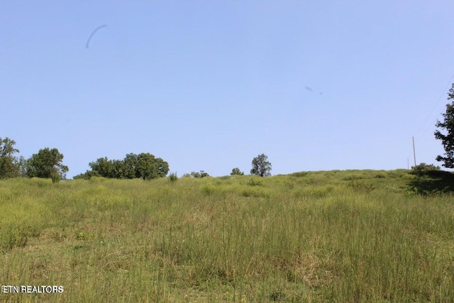 view of local wilderness featuring a rural view